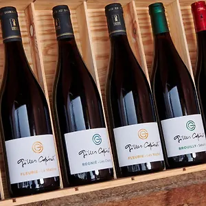les-glycines-domaine-gilles-coperet.hotels-rhonealpes.com/