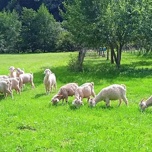 Au Mohair Des Alpy Gasthof Fougax-et-Barrineuf